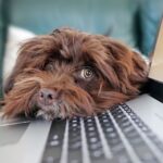 Computer science scholarships