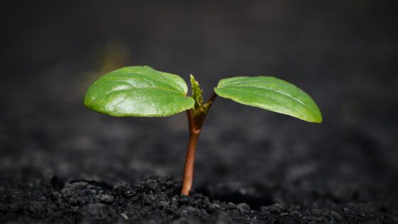Rising Interest Rates: How Online Loans Are Shaping Your Financial Future Today