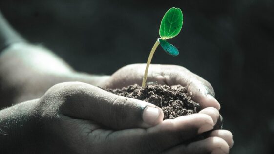 Unlocking 2023: Top Marketing Trends Every Business Needs to Know Now