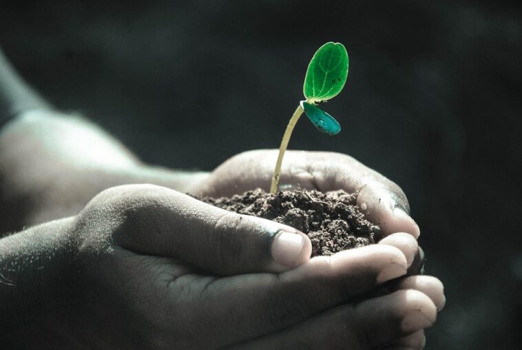 Unlocking 2023: Top Marketing Trends Every Business Needs to Know Now