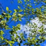 Essential Guide: Why Every Business Needs Liability Insurance in 2026