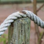 Unlocking Passive Income: How Staking is Revolutionizing Your Investment Strategy Today