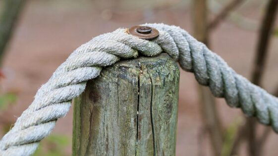 Unlocking Passive Income: How Staking is Revolutionizing Your Investment Strategy Today