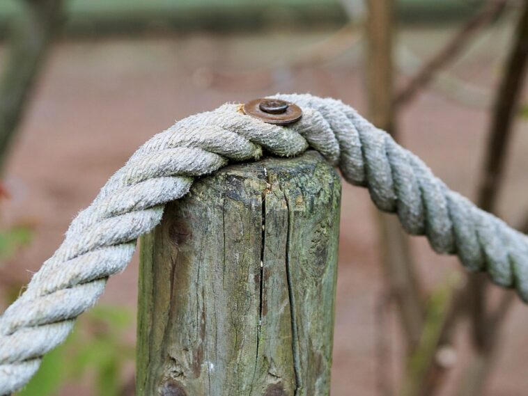 Unlocking Passive Income: How Staking is Revolutionizing Your Investment Strategy Today